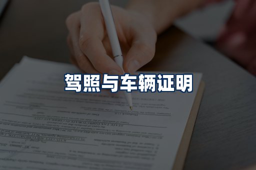 车辆证明展示