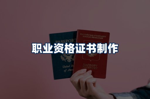职业资格展示